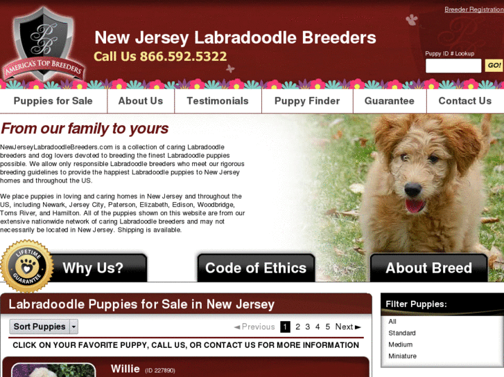 www.newjerseylabradoodlebreeders.com