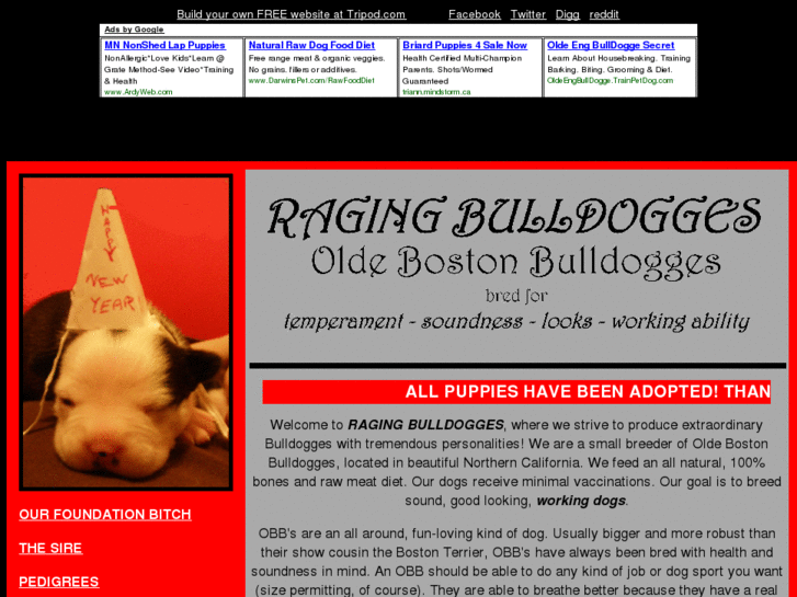 www.ragingbulldogges.com