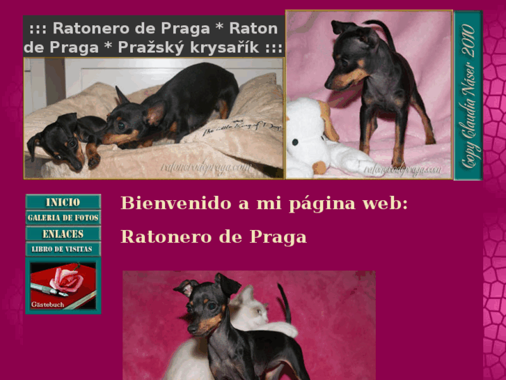 www.ratonerodepraga.com