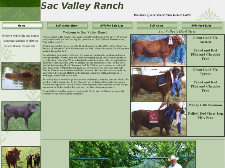 www.sacvalleyranch.com