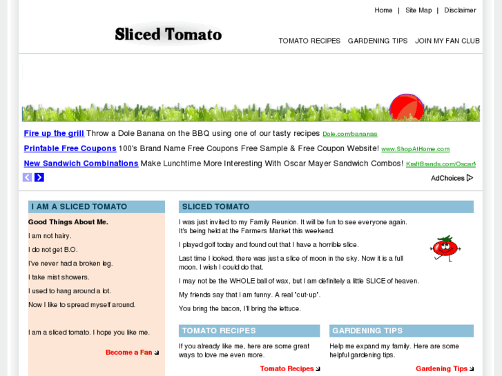 www.slicedtomato.com