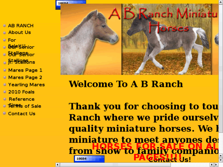 www.abranchminis.com