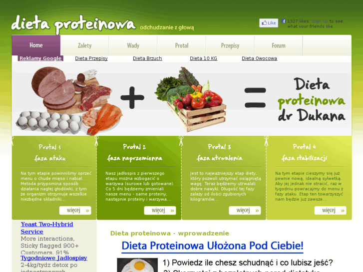 www.dietaproteinowa.eu