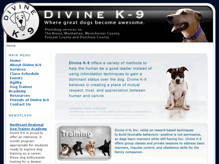 www.divinek-9.com