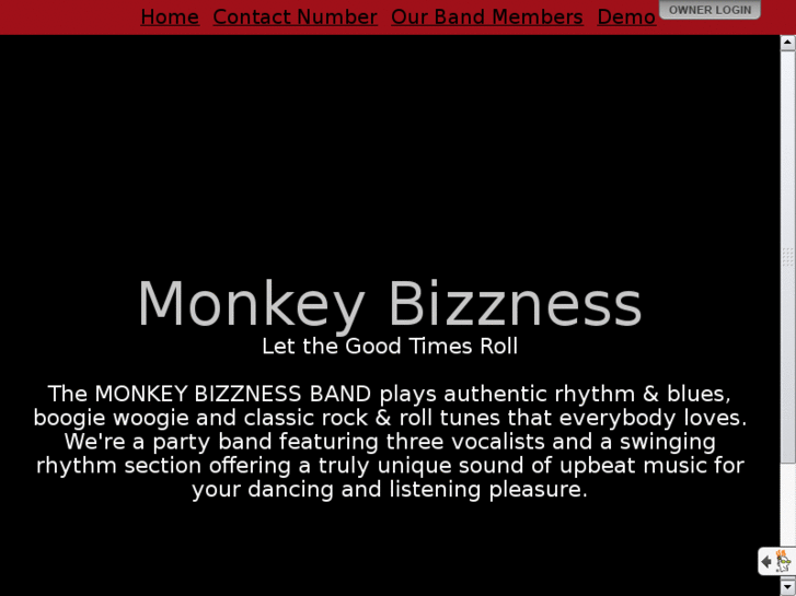 www.monkeybizznessband.com