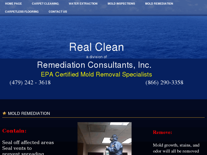 www.realclean.biz