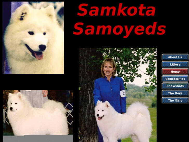 www.samkotasamoyeds.com