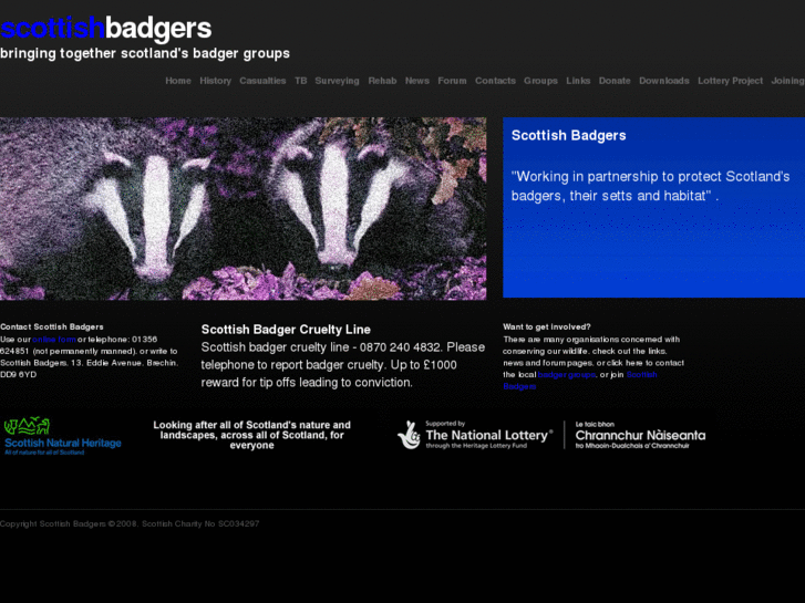 www.scottishbadgers.com