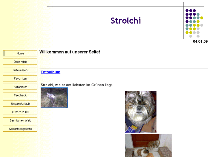 www.strolchi.net