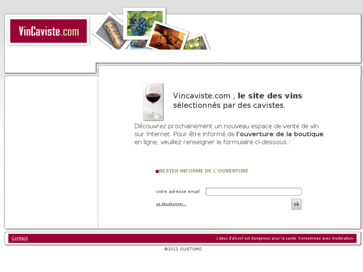 www.vincaviste.com