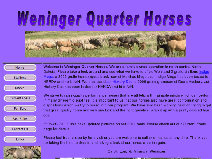 www.weningerquarterhorses.com