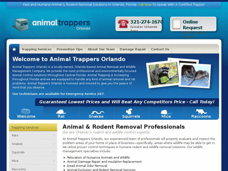 www.animaltrappersorlando.com