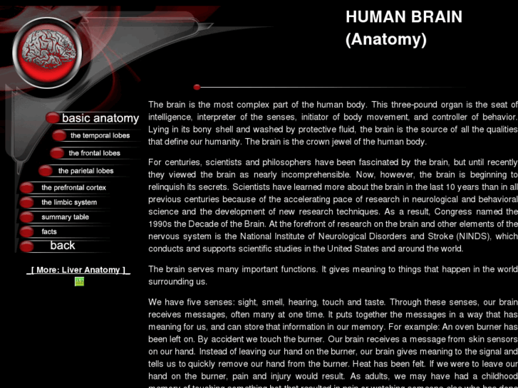 www.brainanatomy.net