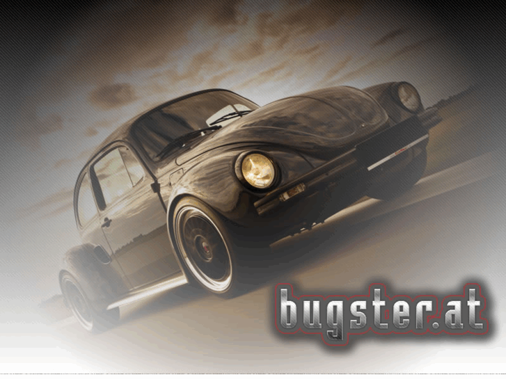 www.bugster.at