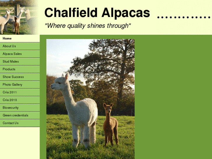 www.chalfieldalpacas.com