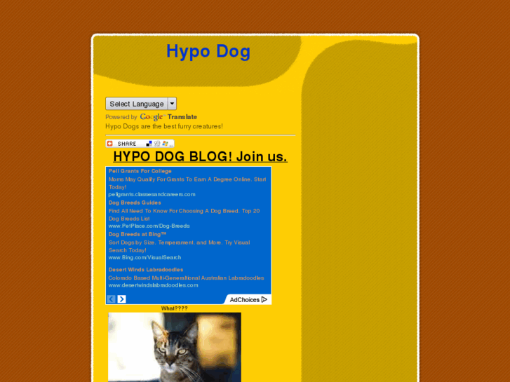 www.hypodog.com