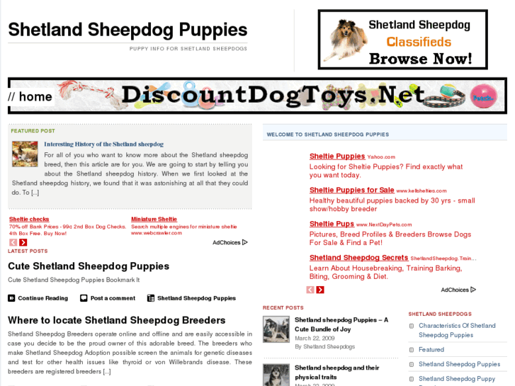 www.shetlandsheepdogpuppies.net