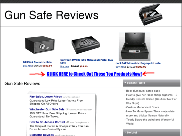 www.topgunsafereviews.com