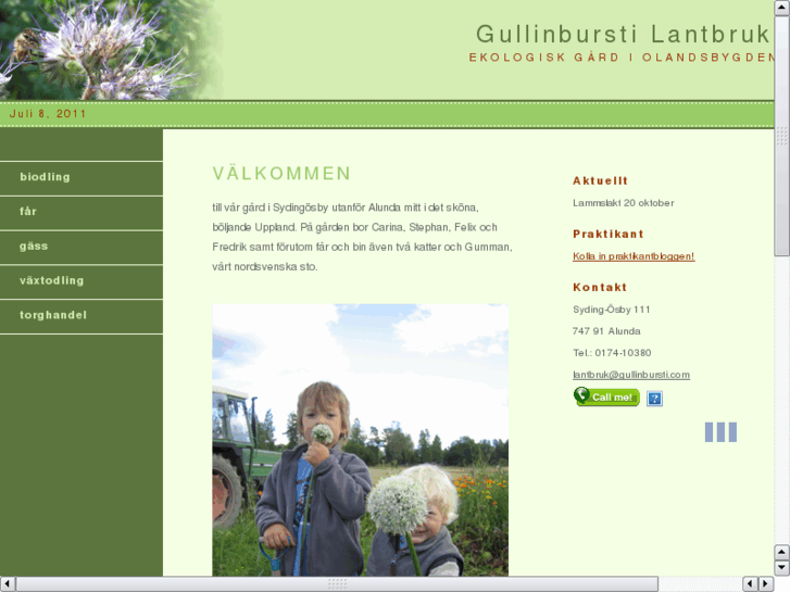 www.gullinbursti.com