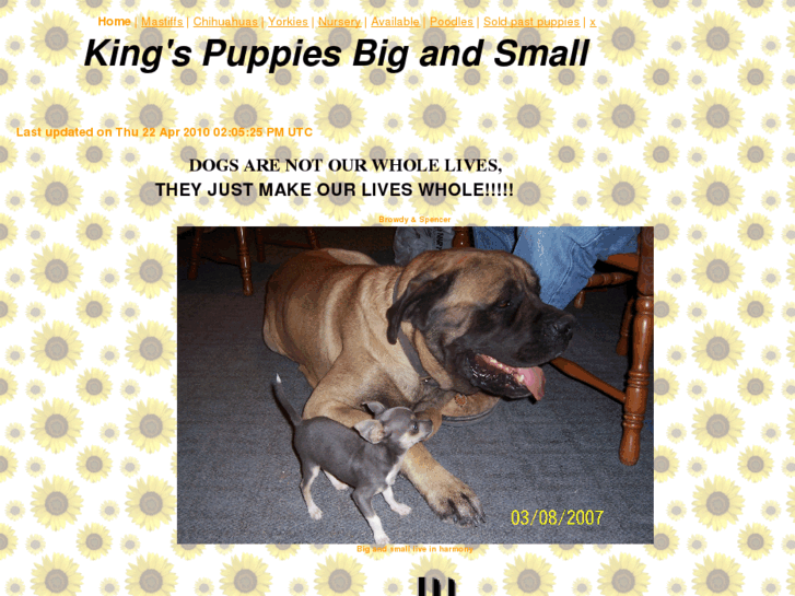 www.kings-puppys.com