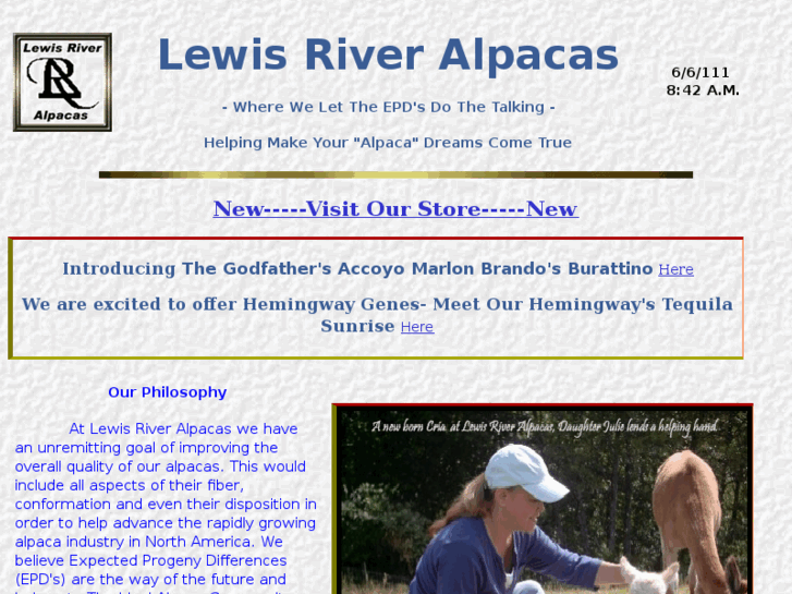 www.lewisriveralpacas.com