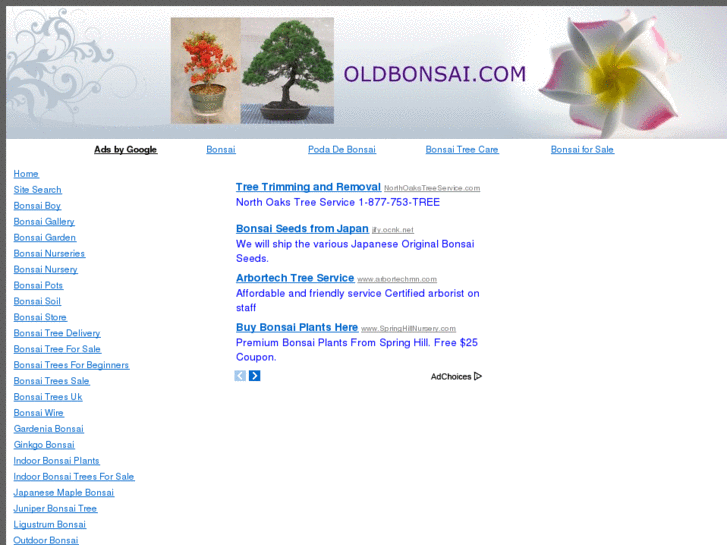 www.oldbonsai.com