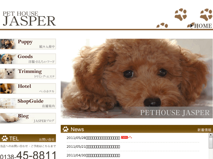 www.pet-jasper.com