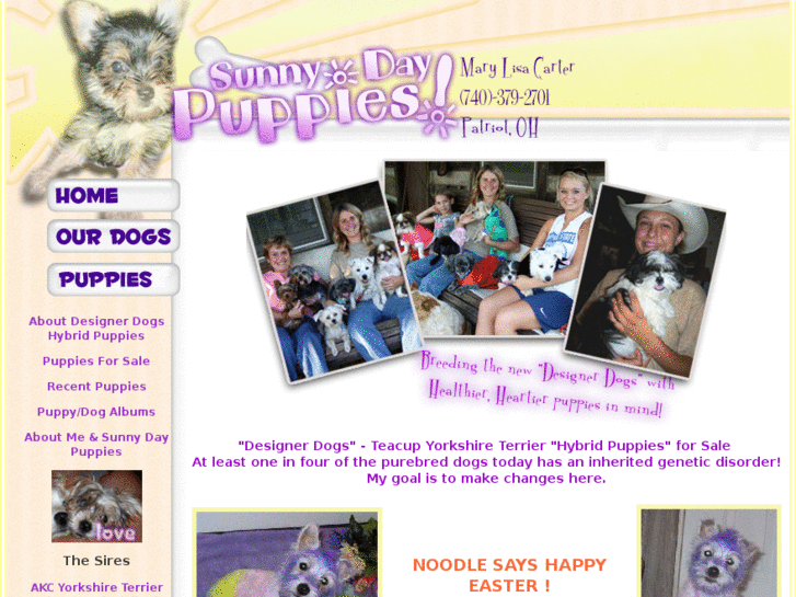 www.sunnydaypuppies.com