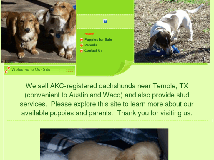 www.triplehdachshunds.com