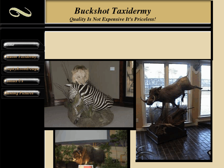 www.buckshottaxidermy.com