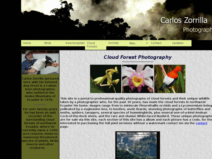 www.cloudforestphotography.com