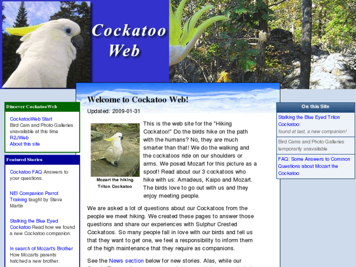 www.cockatoocam.net