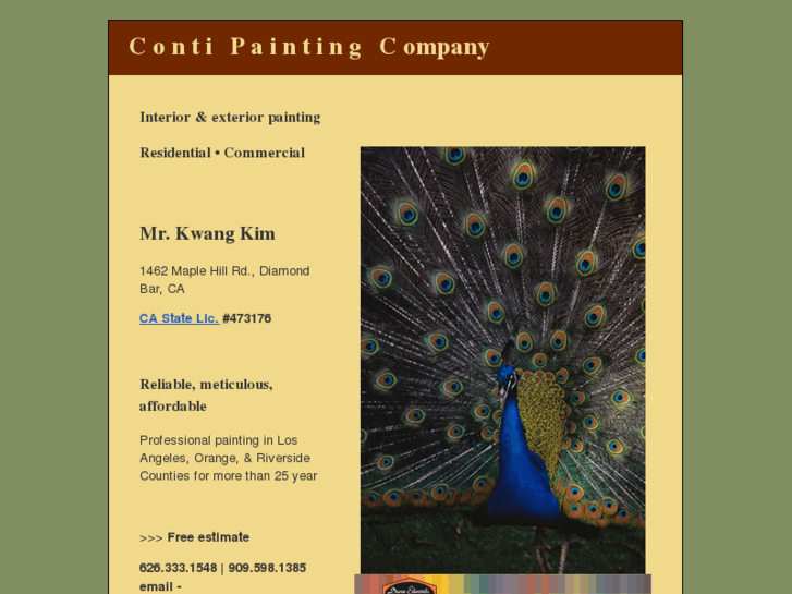 www.contipainting.com