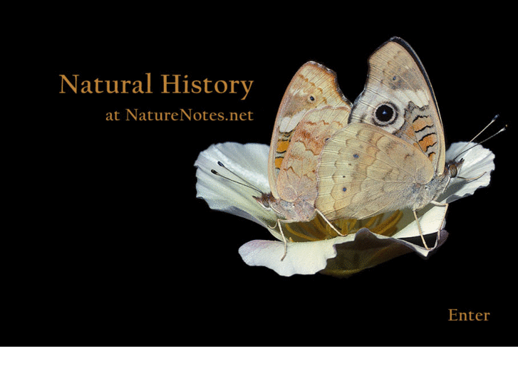 www.naturenotes.net