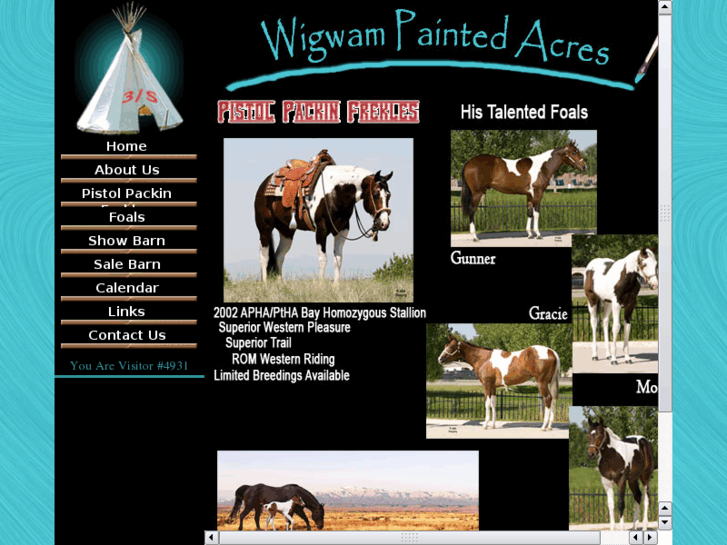www.wigwampaintedacres.com