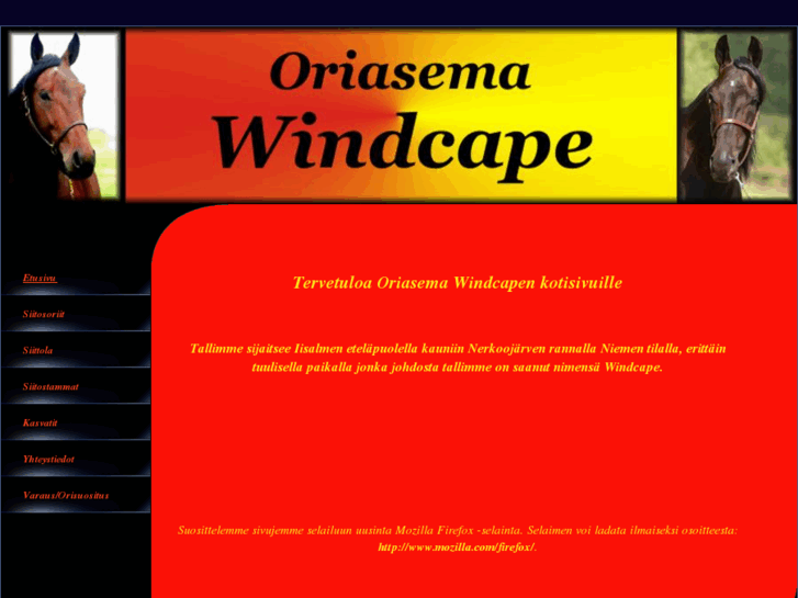 www.windcape.fi