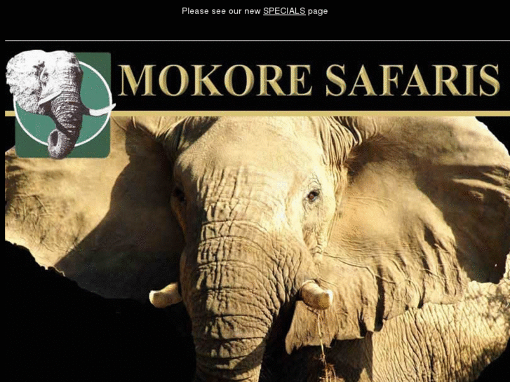 www.mokoresafaris.com