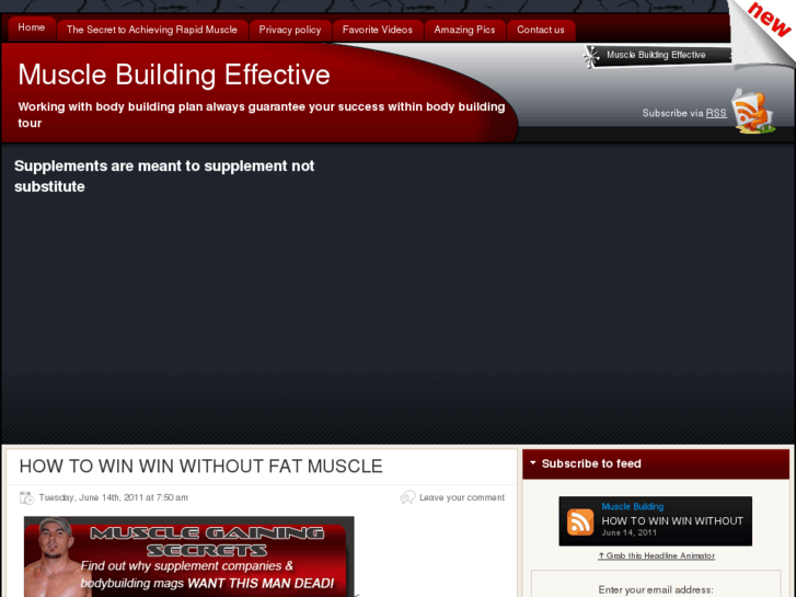 www.musclebuildingeffective.com