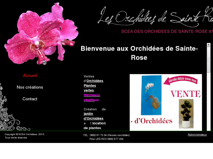 www.orchidees-sainte-rose-974.com