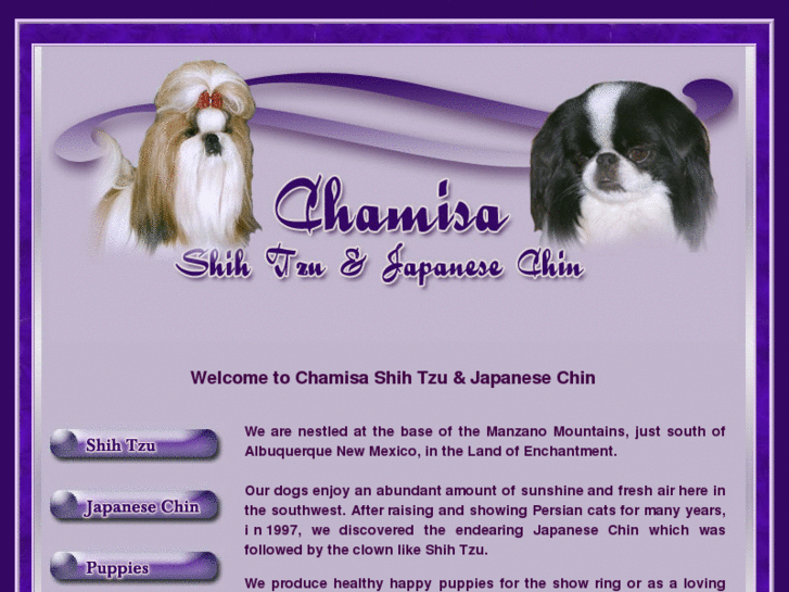 www.chamisashihtzujapanesechin.com