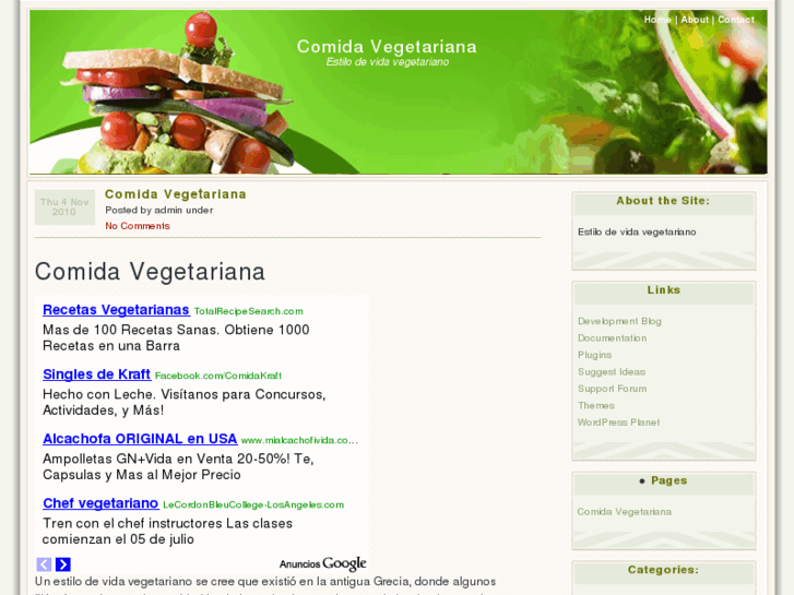 www.comida-vegetariana.com