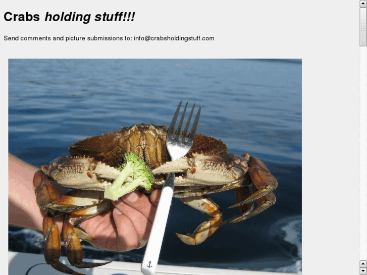 www.crabsholdingstuff.com