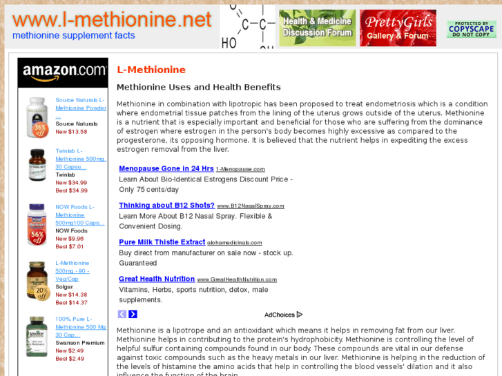 www.l-methionine.net