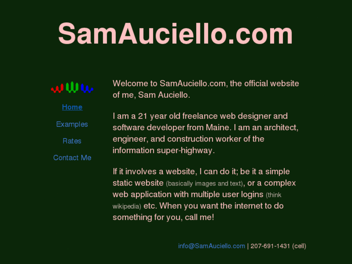 www.samauciello.com