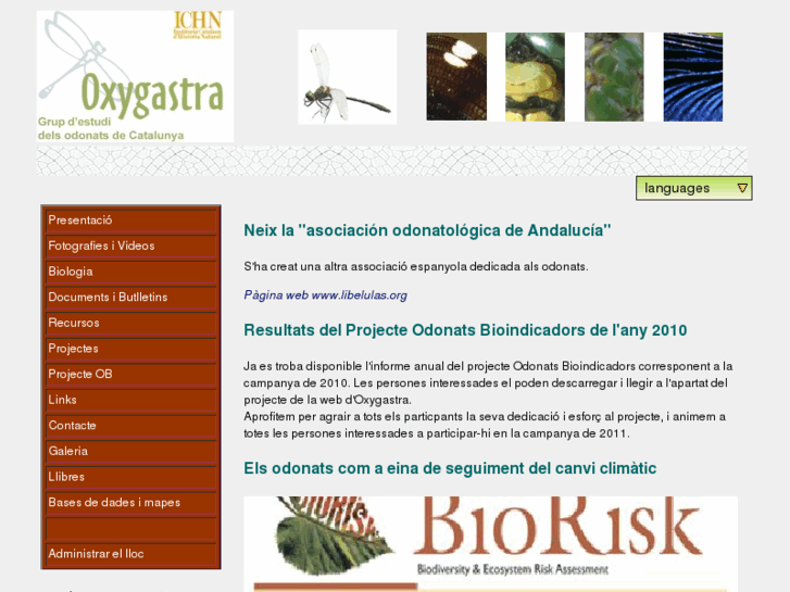 www.oxygastra.org