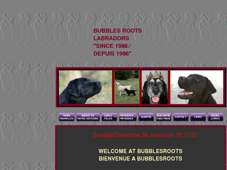 www.bubblesroots.com