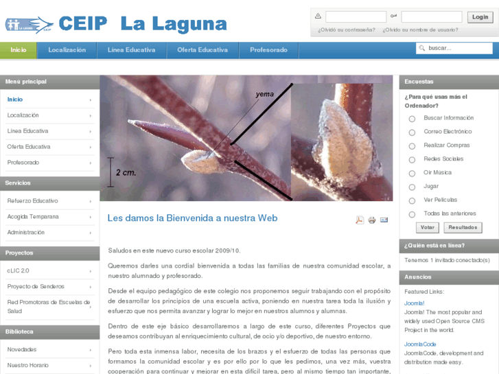 www.ceiplalaguna.com