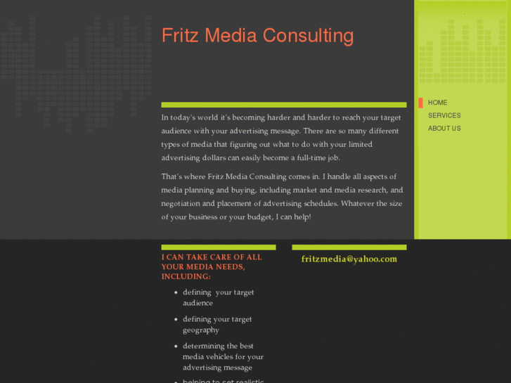 www.fritzmediaconsulting.com