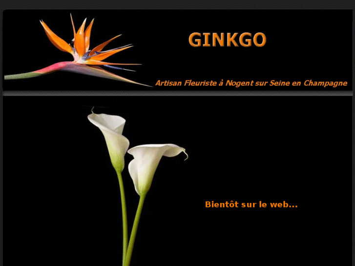 www.ginkgo-fleuriste-aube.com