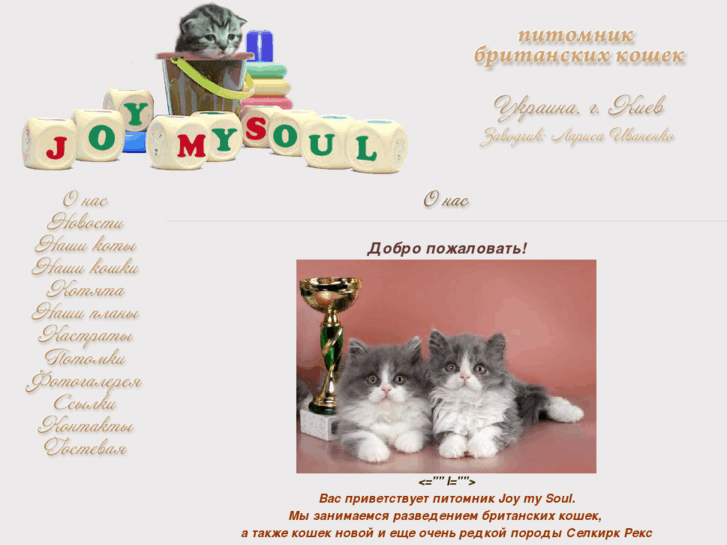 www.joymysoul.com